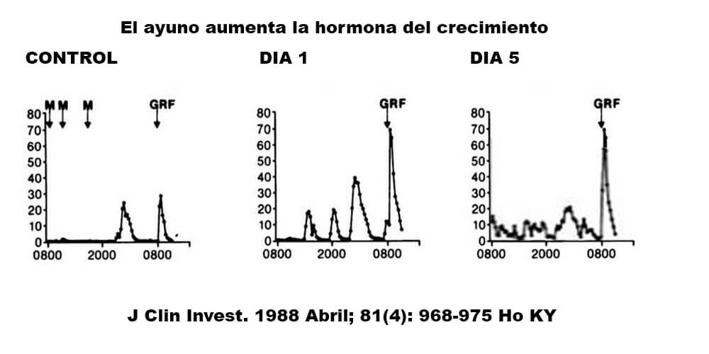 Un-ayuno-más-corto-de-5-días-da-un-aumento-del-300%